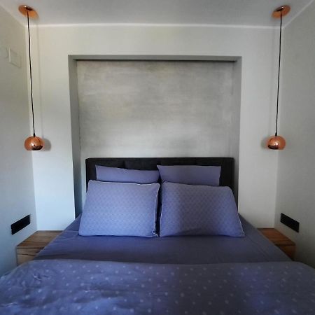 Apartment Pleasure Lux Nowy Sad Zewnętrze zdjęcie