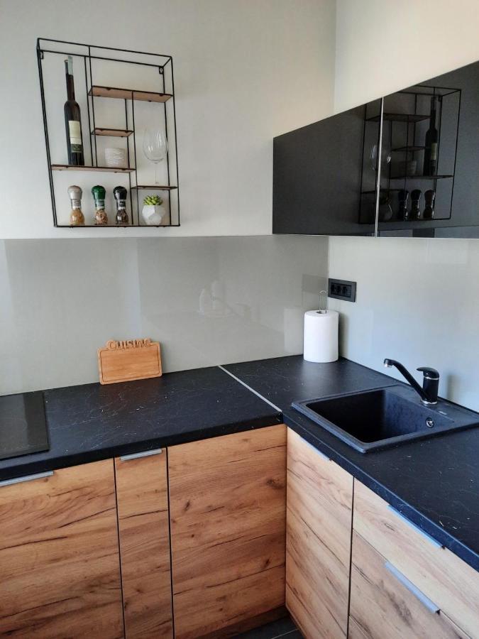 Apartment Pleasure Lux Nowy Sad Zewnętrze zdjęcie